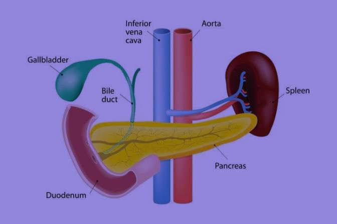  Safra Tuzları Hakkında Bilmek İstediğiniz Her Şey!
