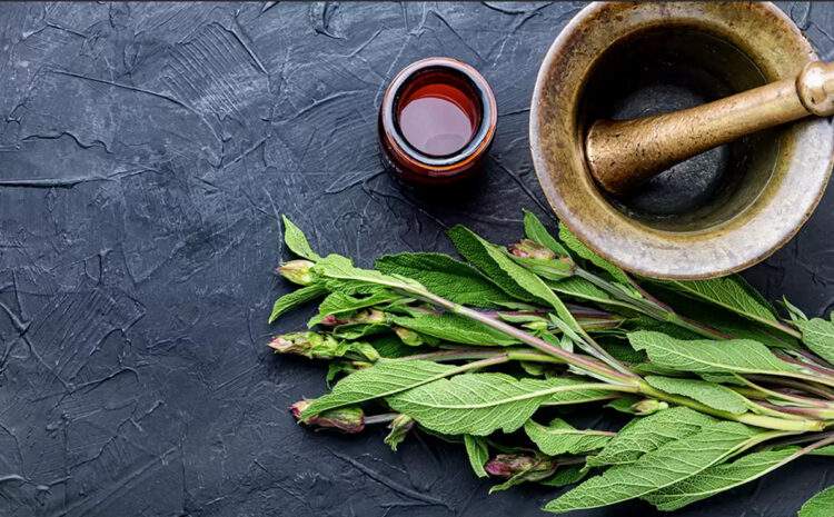  Geçmişten Günümüze Fitoterapi