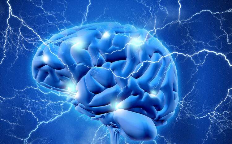  Beyin Gücünü Artıran 11 Takviye