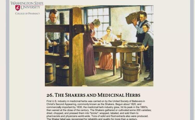  26. Çalkalayıcılar ve Şifalı Otlar