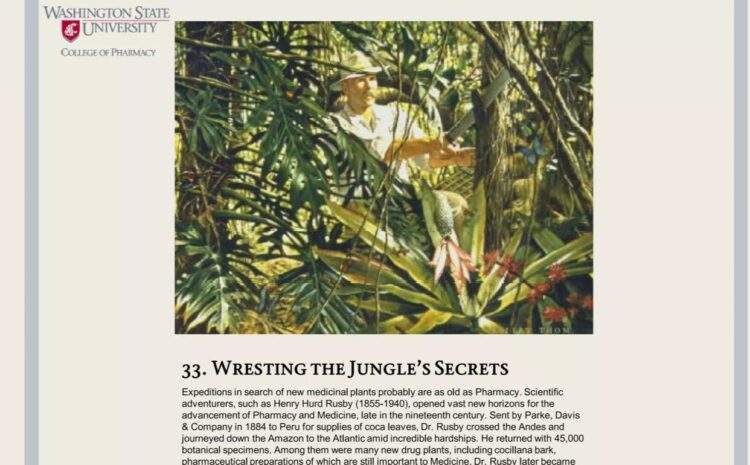  33. Ormanın Sırlarıyla Mücadele Vermek