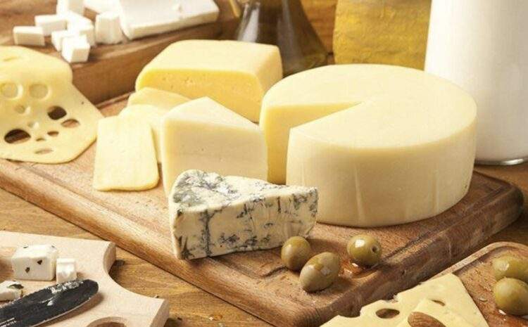  İsviçreli Gruyer ile Karslı Gravyer