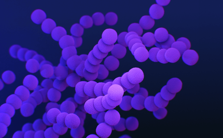  Zatürre Aşısı Olalım mı?