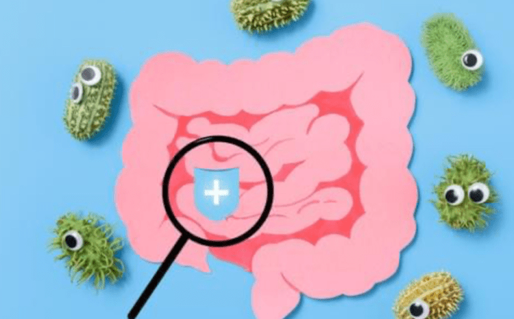  Prebiyotikler ve Probiyotikler