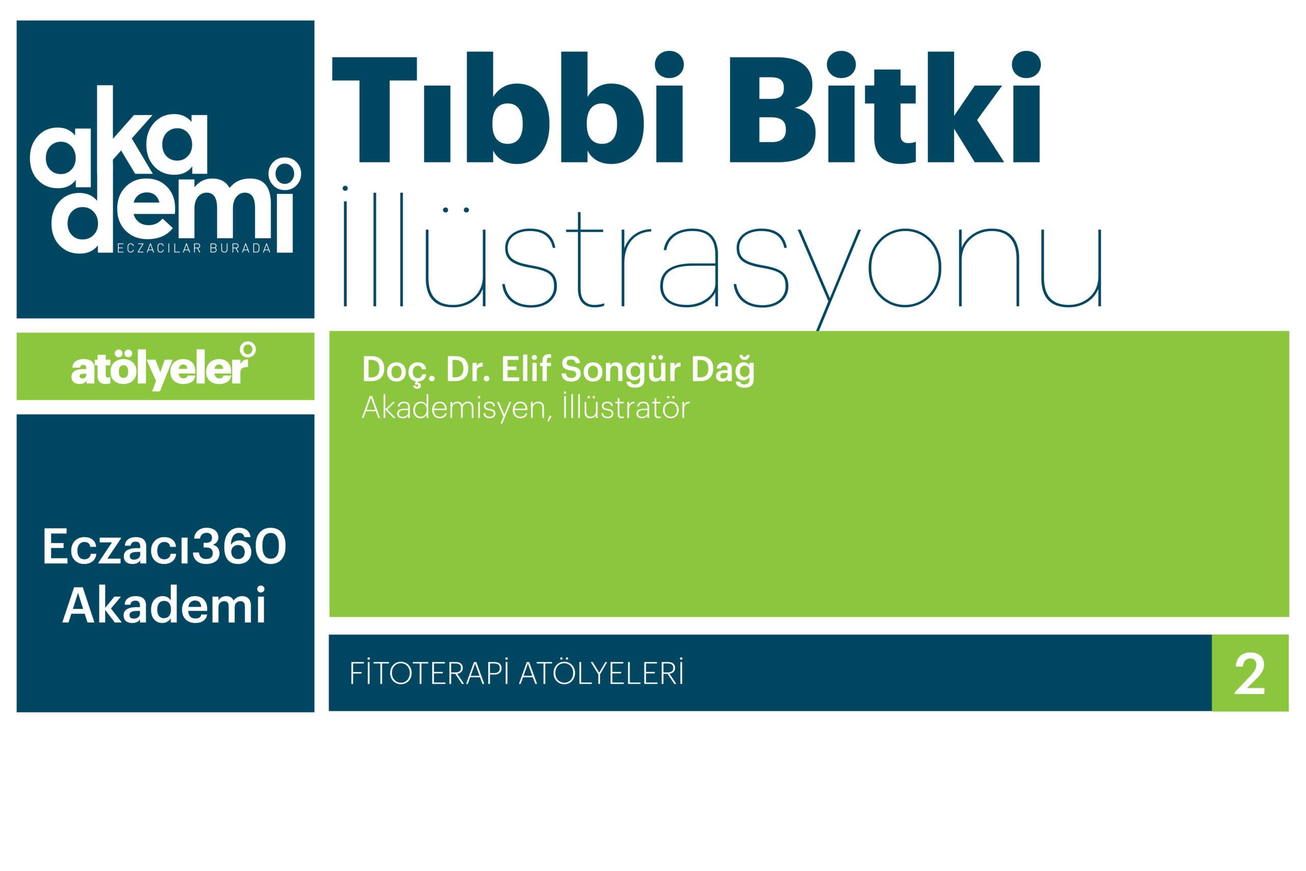 Tıbbi Bitki İllüstrasyonu Atölyesi