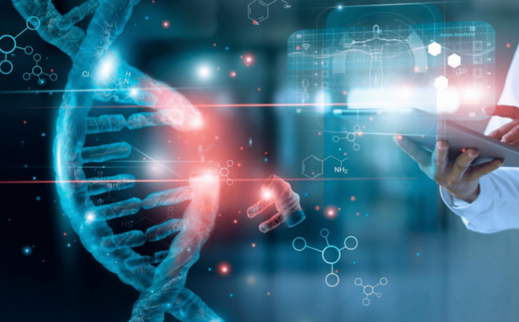 TÜBİTAK 2209-A ve 2209-B Projeleri: Araştırmaya İlk Adım